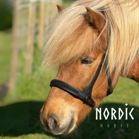 Nordic Horse Sidepull All Black