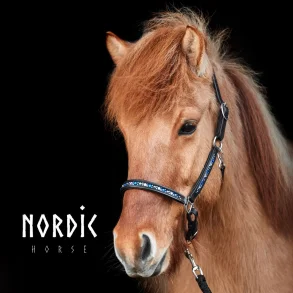 Nordic Horse Lederhalfter Colour Mix Blau