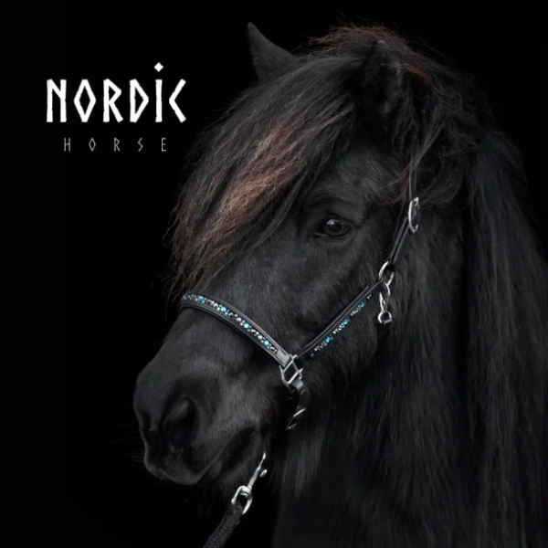 Nordic Horse Lederhalfter Colour Mix Türkis