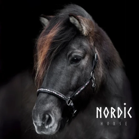 Nordic Horse Lederhalfter Colour Mix Pink