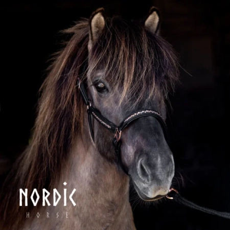 Nordic Horse Lederhalfter all Rosegold