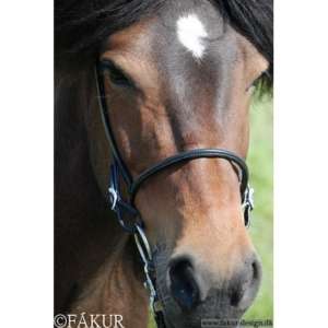 engl. Reithalfter Nordic Horse elegant 6mm